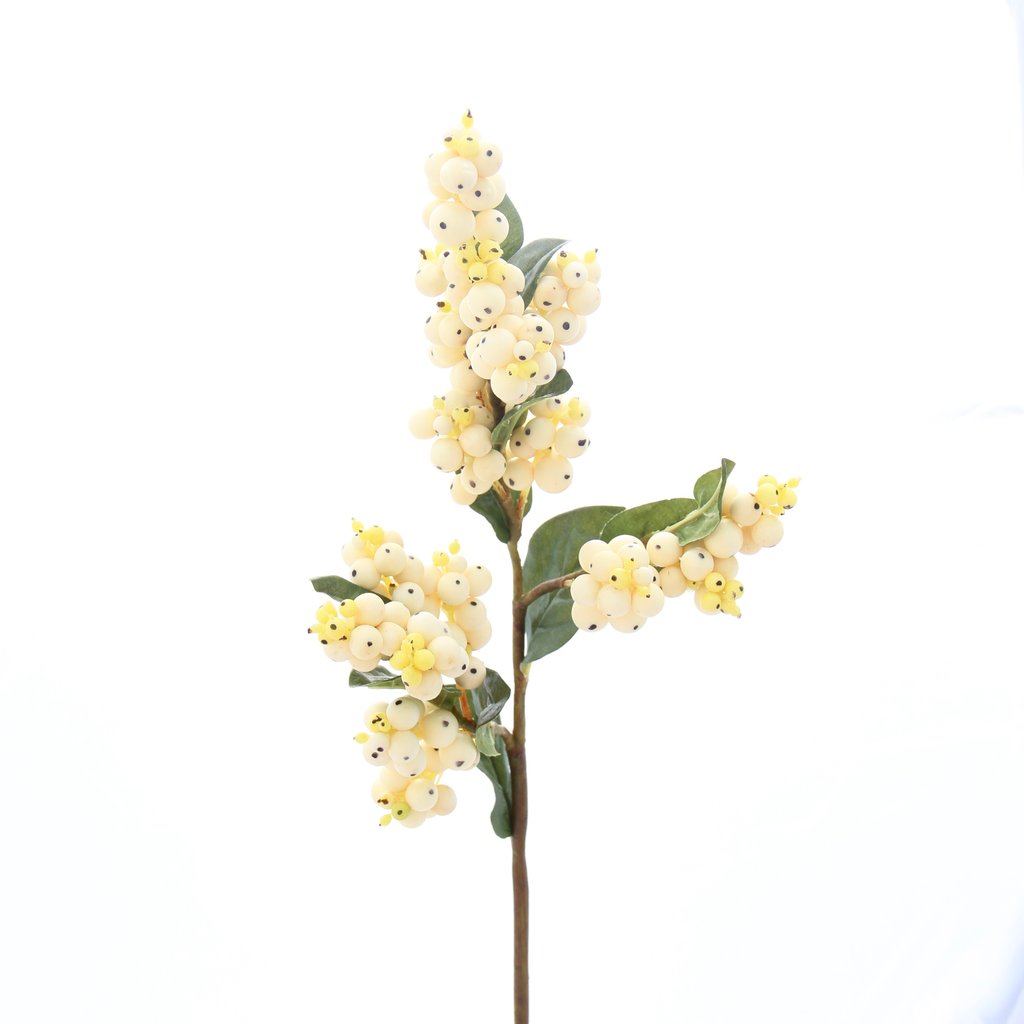 White Snowberry / stem