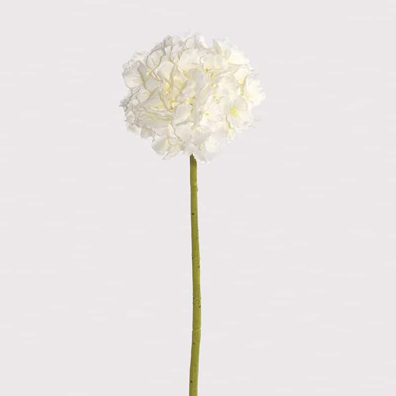White Hydrangea Elegant (No Leaves Baby Head)