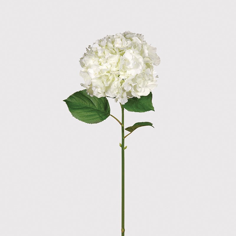 White Hydrangea Large (Full Bloom) / Dims: H: 1050mm